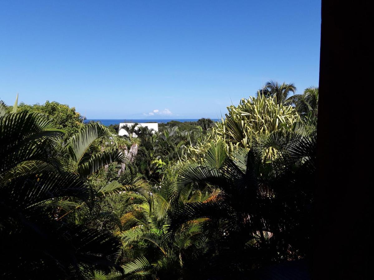 Villa Et Gites Le Safran - Le Triskell Deshaies Exteriér fotografie