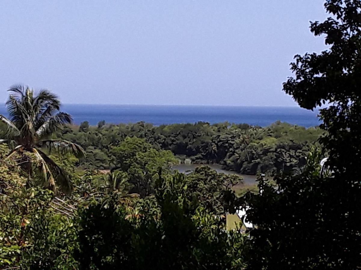 Villa Et Gites Le Safran - Le Triskell Deshaies Exteriér fotografie